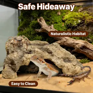 Reptile Cave Hideout, Gecko Lizard Snake Turtle Shelter Resting Habitat Decor, Resin Material, Ideal for Pet Enclosures