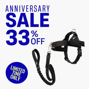Dog Friendly Co. Harness + No-Pull D-ring + Bungee Leash