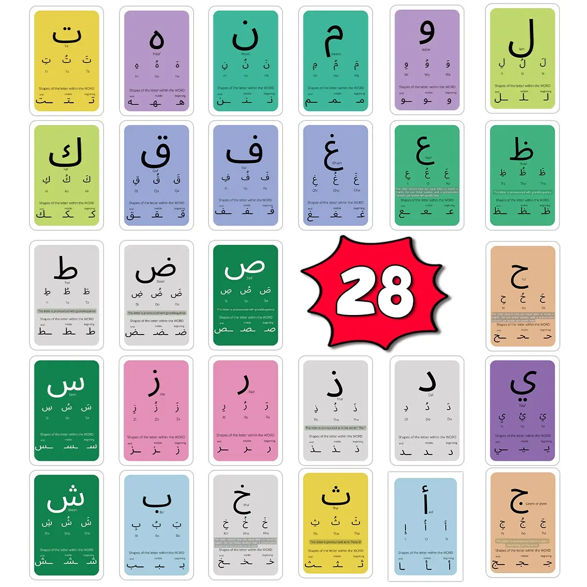 Arabic Beginner Flashcards Set, Includes Consonants Vowels Diacritical Marks Numbers, Learn Arabic Alphabet Islamic Gift, Study Cards, Letter Flash Cards, Flashcards For Studying