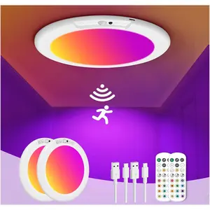 Rechargeable Motion Sensor Ceiling Light 13 Color Changing with Remote – Great Gift for Home