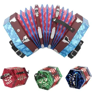 22 Keys 8 Bass Accordion, Celluloid Accordion with Storage Bag, Musical Instrument for Amateur Beginner, Best Gift