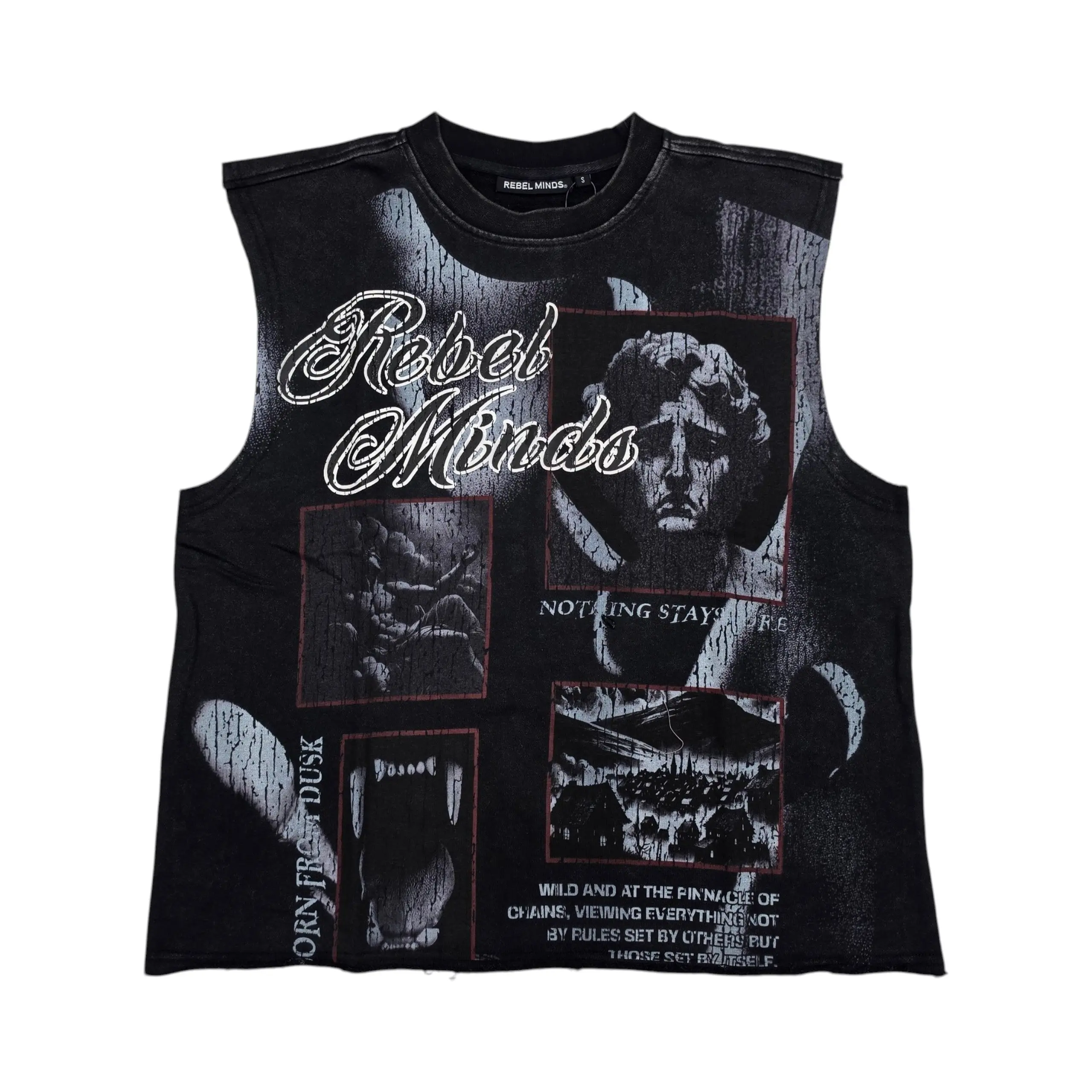 REBEL MINDS MEN'S BORN FROM DUST SLEEVELESS T-SHIRT