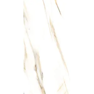 AGL Calacatta Gold Matte 24 x 48