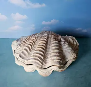 Mermaid Keepsake is a handcrafted coastal-inspired dish perfect for holding jewelry, rings, keys, and treasured keepsakes. Crafted by Jesmonite, each piece brings a touch of seaside charm to your home while serving as a beautiful functional accent.