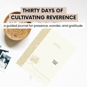Presence Journal - Thirty Days of Cultivating Reverence: A guided journal for presence, wonder, and gratitude while connecting to self and nature