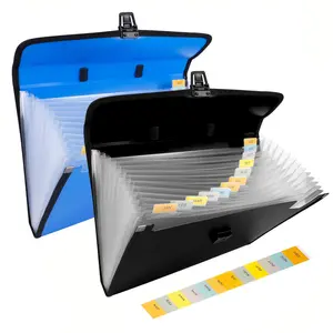 A4 File Folder with Handle, 1 Count Large Capacity File Folder with File Divider & Month Label, File Organizer for Home & Office