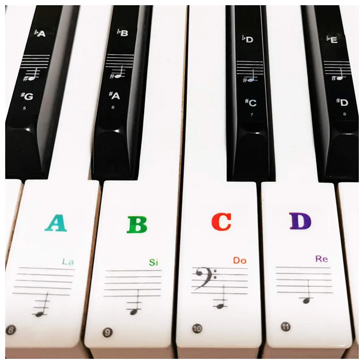 Piano Keyboard Stickers – Large Removable Note Labels for 88, 61, 54, 49 & 37 Keys