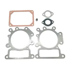 Engine Valve Gasket Set Replaces 794152 690190 794114 796584 699168 692410 for 31A807 31E877 31Q507 31R507