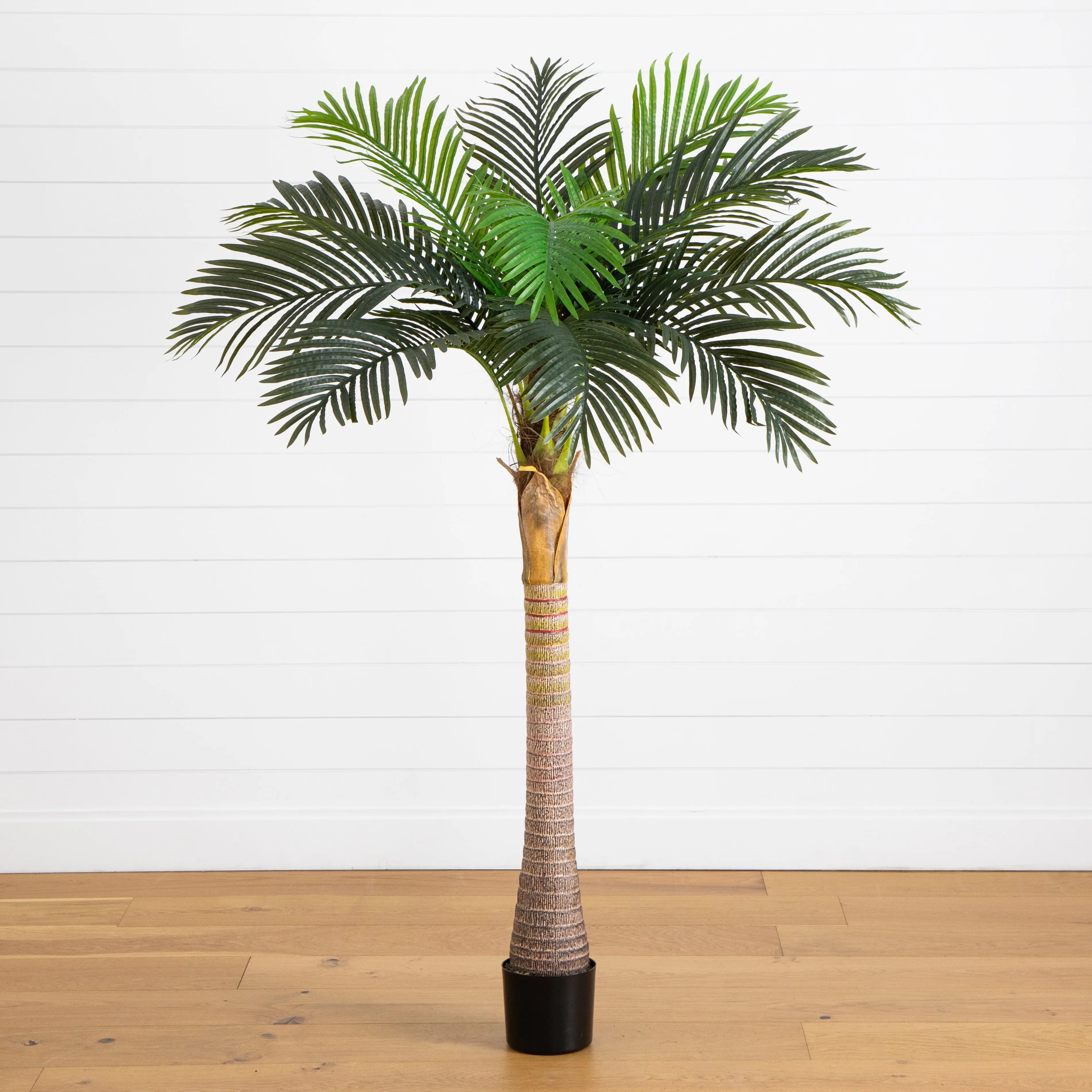 6-ft Tall Synthetic Coconut Palm Tree - Naturalistic Large Leafy Plant Artificial Tree with Fresh Green Leaves, Tropical Decorative Fake Plant for Indoor/Outdoor Home Decor, Nursery, Bedroom, Housewarming Gift