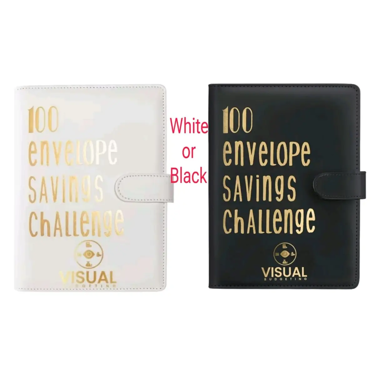 Savings Binder Challenges Black or White