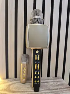 Bluetooth Karaoke Audio Wireless Device for Parties & Gatherings Easy Setup User Friendly Karaoke Experience