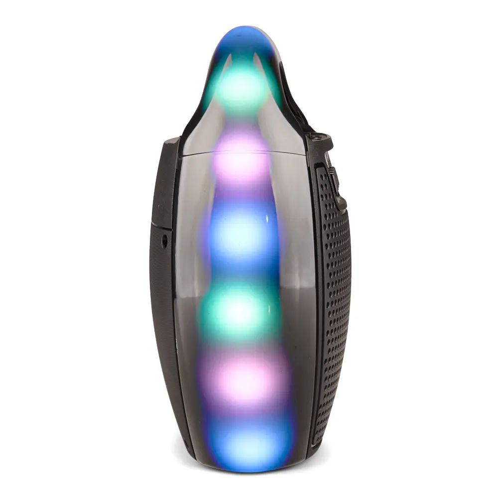 DIGITAL SUNFLASH SF-123 Rechargeable Wireless Portable Multimedia 4-Inch  Speaker System Built-in Bluetooth, FM Radio, Karaoke Microphone Input, USB  Port, MicroSD, AUX, LED Lights, TWS Function - TikTok Shop