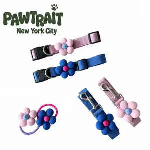 Blooming Chelsea Collar & Leash & Hairband Set
