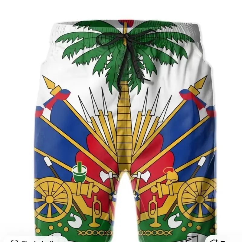 White 3D Print Men's Haiti Flag Shorts