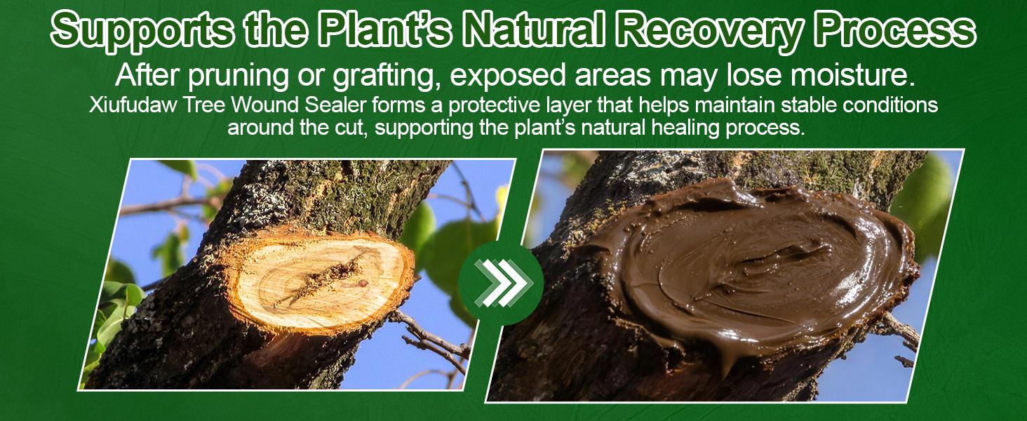 Tree Wound Sealer (17.6 OZ) - Complete Grafting Kit with Grafting Wax, Tree Trunk Paint & Pro Tree Pruning Sealer