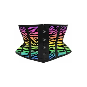 Lavish Rainbow Animal Print Satin Mini Cincher Corset