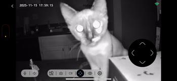 product review image from eva 5