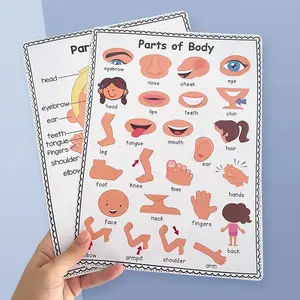 Set of 2 A4 Educational Posters, Human Anatomy Theme, Designed for Children, Colorful Charts, Prechool and Kindergarten Teaching Aid