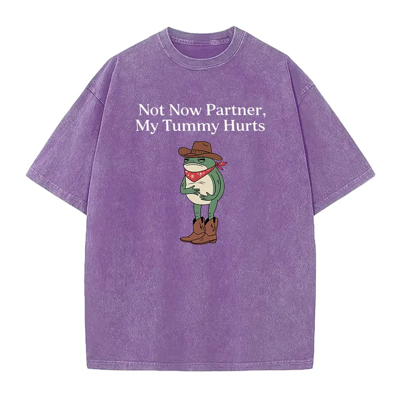Not Now Partner My Tummy Hurts Shirt IBS Lactose Intolerant Frog Unhinged TShirt Gen Z Meme Funny Dumb Shirt Weirdcore Shirt