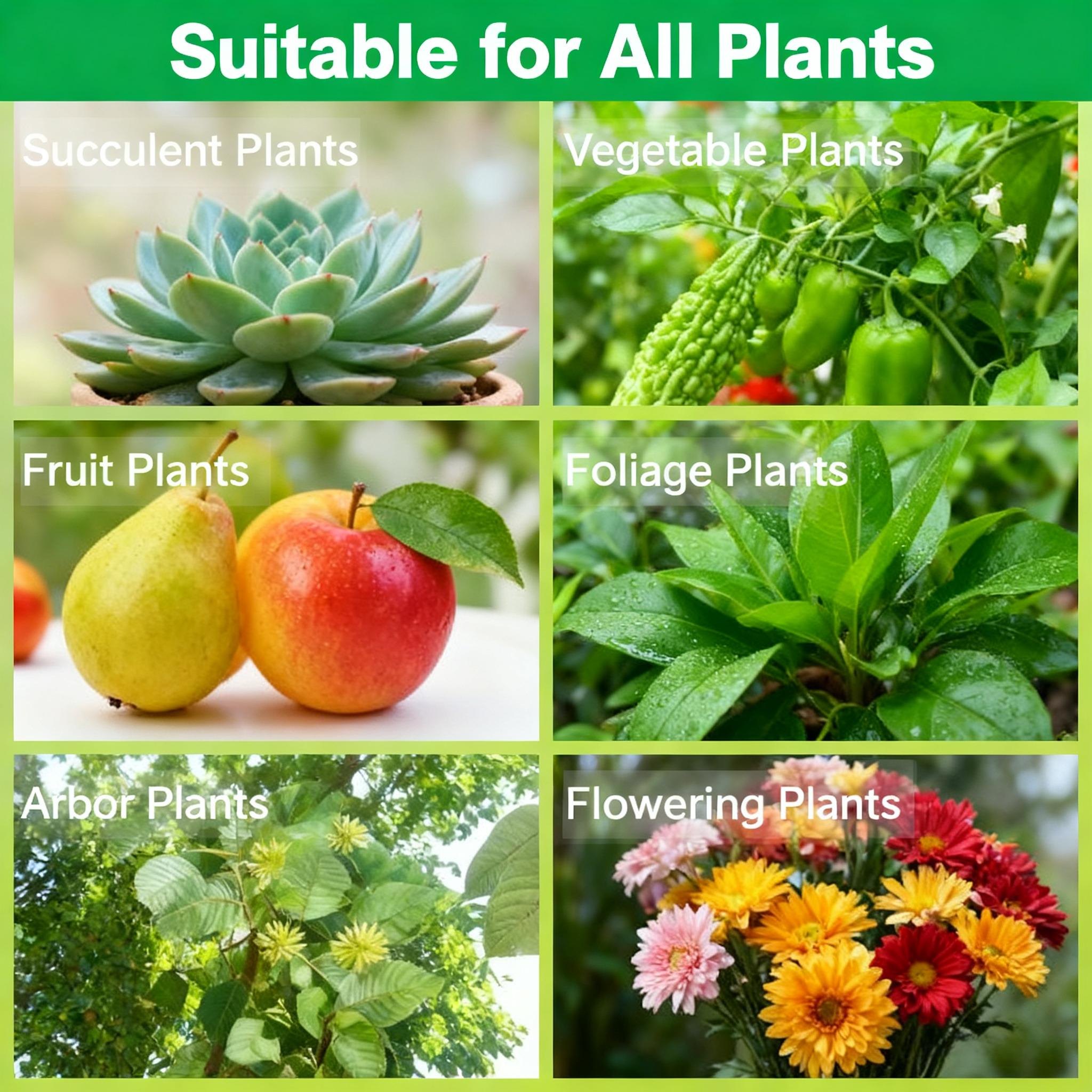 All-Purpose Liquid Plant Food for Indoor & Outdoor Plants – Gentle Nutrient Solution for Houseplants, Flowers, Vegetables & Herbs, Supports Healthy Foliage & Root Development, Easy-to-Use Plant Nutrition All-Purpose Liquid Plant Food for Indoor & Outdoor Plants – Gentle Nutrient Solution for Houseplants, Flowers, Vegetables & Herbs, Supports Healthy Foliage & Root Development, Easy-to-Use Plant Nutrition