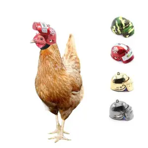 New hot-selling helmet for chickens, pet supplies, funny safety hat, chicken hat, chicken helmet, protective headgear for pet chickens dog clothes Gold Plated Custom Collar shoes filter glasses Heated Windproof Winter Coat