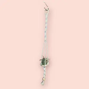 Handmade Macramé Air Plant Hanger - 1 Tier - With Air Plant