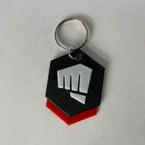 VALORANT 3D Printed Riot Buddy Keychain for gamers