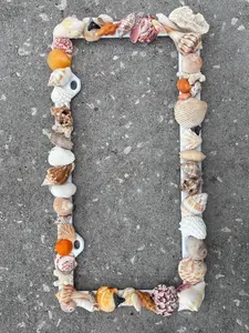 Seashell license plate cover
