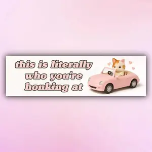 Cute Pink Magnet This is Literally Who You're Honking At, Funny Girly Cat Magnets, Cat Mom Gift