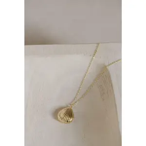 Seashell Locket