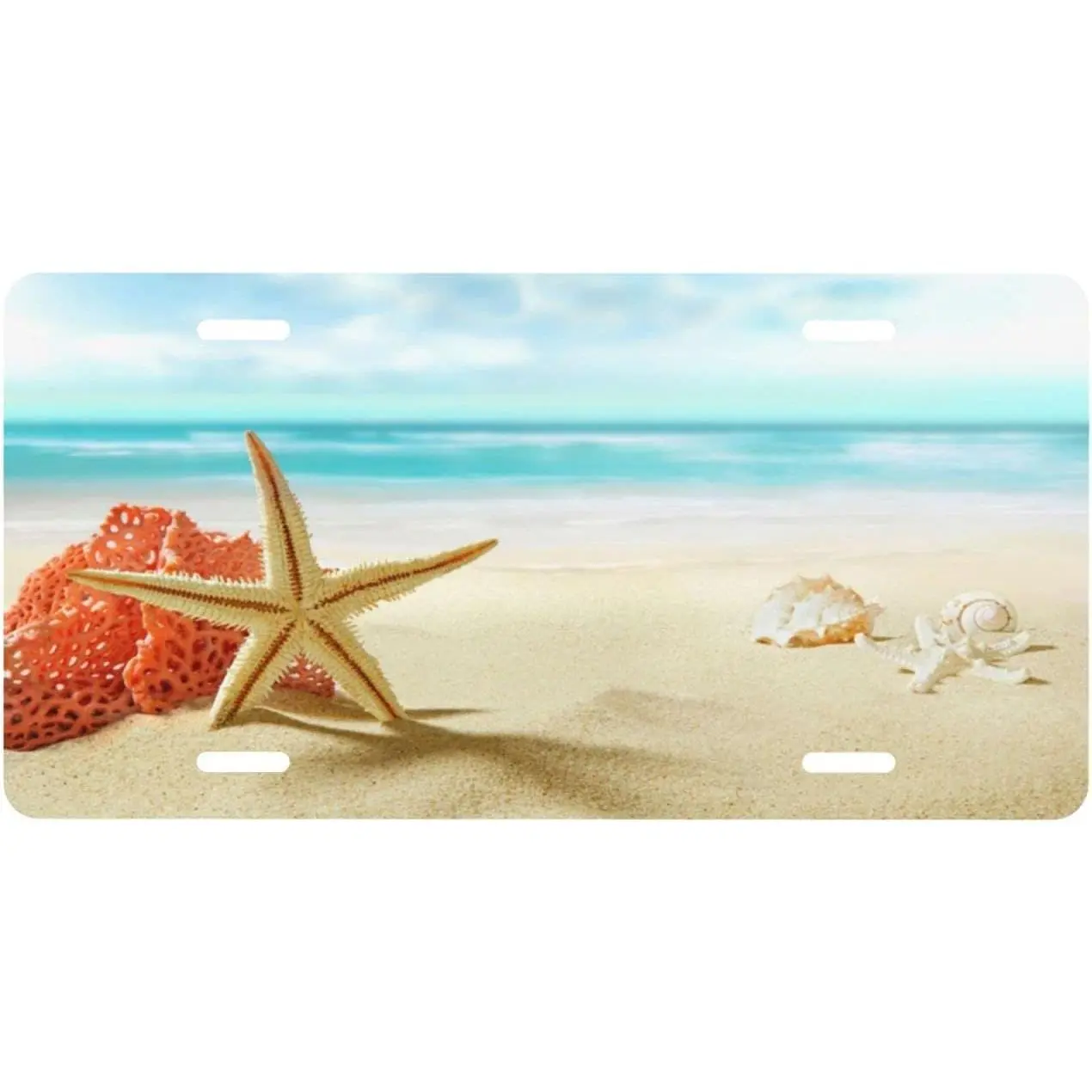 Starfish Beach