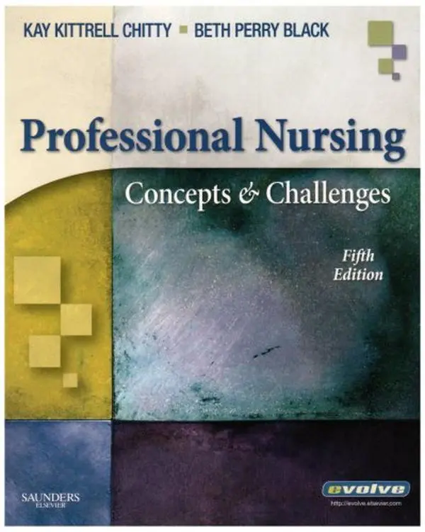 USED-Professional Nursing: Concepts & Challenges by Beth Black PhD  RN  FAAN (Paperback)