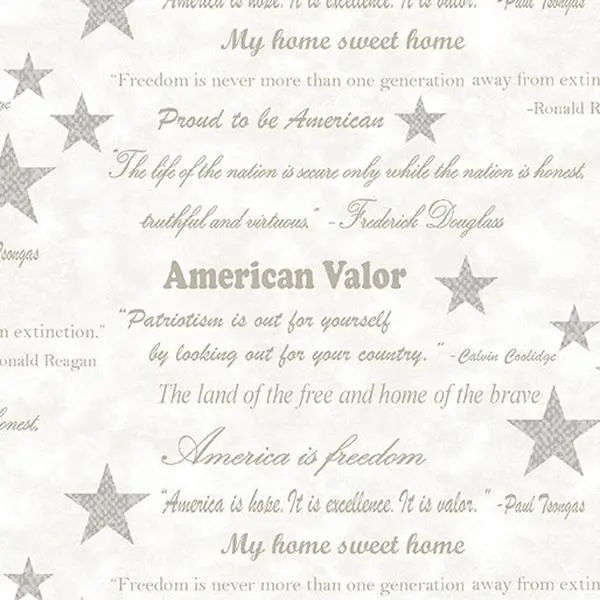 Fabric Benartex Light Natural Words of Valor American Valor 108" Wide Back by the Quarter Yard 16872W-07