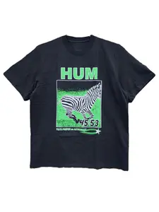 Y2K Hum You Prefer An Astronaut Zebra T-Shirt