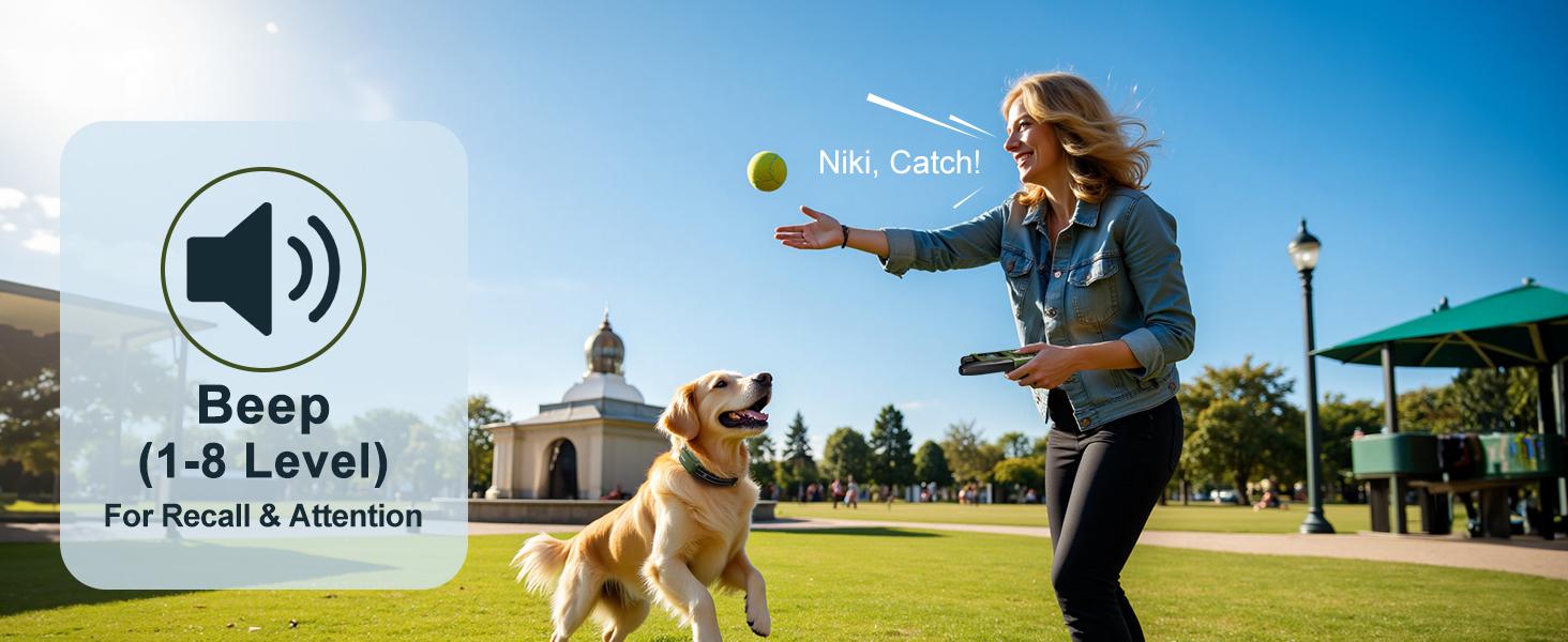 Jugbow Dog Training Collar - 4500FT with Remote, 4 Training Modes, Security Lock, IPX8 Waterproof, Rechargeable e-Collar for All Breeds DT61 Outdoor