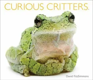 USED-Curious Critters by Fitzsimmons, David (Hardcover)