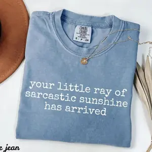 Comfort Colors Your Little Ray of Sarcastic Sunshine Has Arrived TShirt, Funny T-Shirt, Sarcastic Tee, Humor TShirt, Trendy Womens Shirt - TrendWear USA