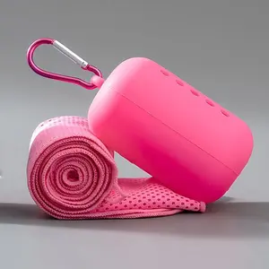 Summer Ice Silk Cold Sensation Sports Towel, Outdoor Fitness Cooling Towel, Sweat Absorbing, Silicone Case, Refreshing and Cool