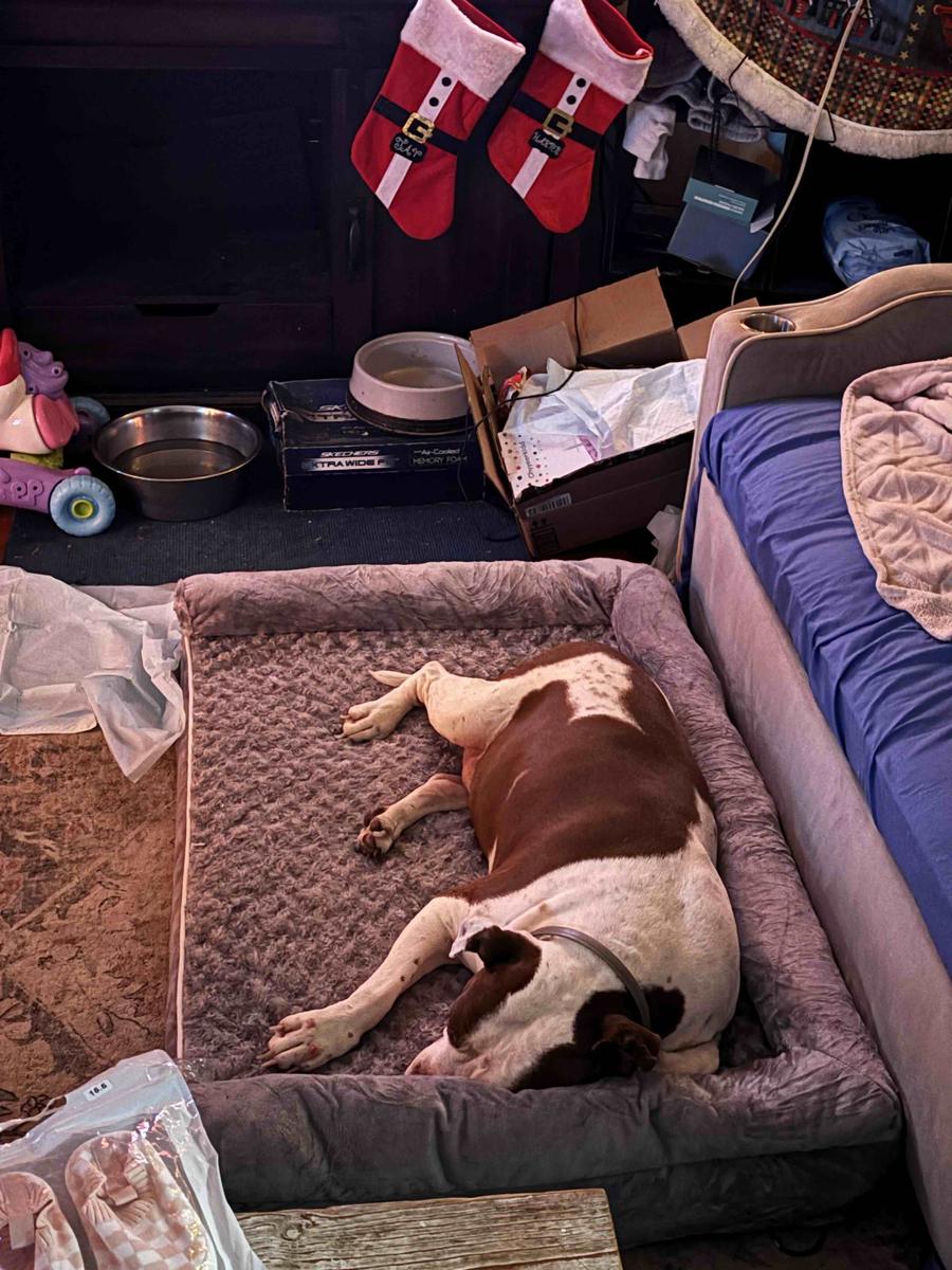 Item: Extra Large: 42" x 30" x 6.5"