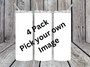 4 Pack of Stainless 20 oz Skinny Tumblers with Lids and Straws Bottle Drinkware Set Steel