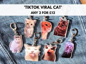 Cat Meme Tiktok Viral Funny Keychain, Cute Cats Gift Pendant Keyring, Cat Lover Funny Cats Gift, Crying Cat Gift Keychains