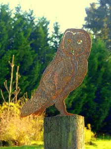 Cut Metal Rusty Barn Owl Garden Home Yard Lawn Window Outdoor Tree Art Decor