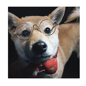 Dog Cat Sunglasses, Retro Round Trans Golden Frame, Resin Lens, Fashion Protection for Small Mini Pets, Party, Wedding, Cosplay Props