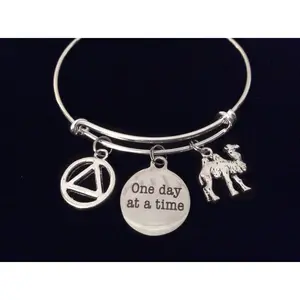 Camel AA Recovery Symbol One Day at a Time Adjustable Charm Bracelet Expandable Silver Wire Bangle Inspirational Meaningful
