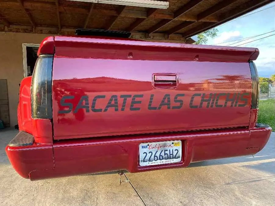 Sacate Las Chichis Decals