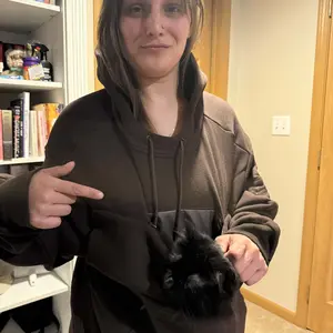 Cat in pouch 1