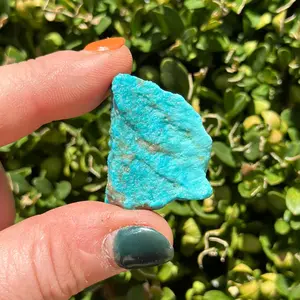 New Moon Beginnings Raw Turquoise Stone Patagonia Arizona
