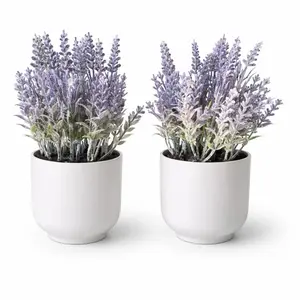 Lavender plant decorative