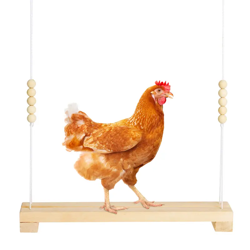 40cm Natural Wooden Chicken Perch Swing - Iron Hook, Durable Rope, Beads, Moisture-Resist, Easy Assembly & Adjustable, 15kg Capacity, Nail-Safe, Bumblefoot Support, Stimulating Activity Center, Iron-Monkey Play for Birds