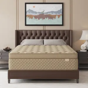 12" 14"  Twin Full Queen King Size Gel Memory Foam Pocket Spring Mattress In A Box, Cool Sleep Motion Isolation & Medium Firm Feel